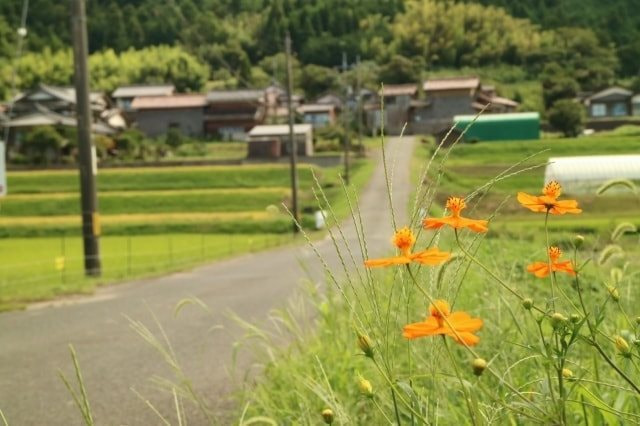 お墓じまい